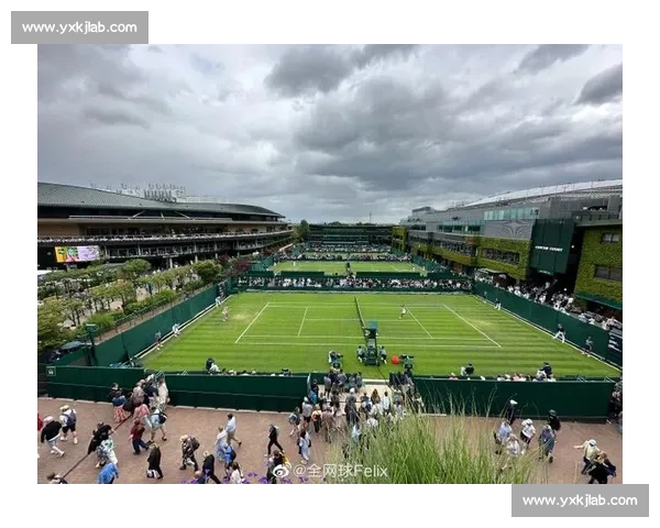 温网「雨布魔法」：百年草地的守护者