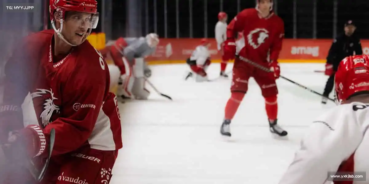 为什么选择我们